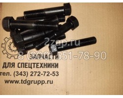 ТЖ203-22-003 Болт замыкающий ЧЕТРА