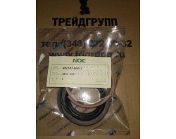 401107-00431 Ремкомплект натяжения гусеницы (Seal Kit, Track Spring) Doosan купить 