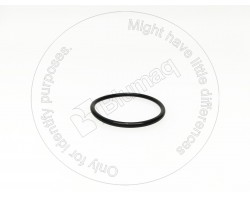 001050935 Уплотнительное кольцо Varios