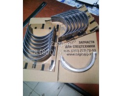 3800298 Вкладыш коренной, стандартный (main bearing set-std) Cummins