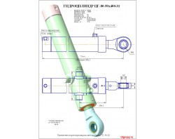 Гидроцилиндр кирковщика цг-80.50х400.31